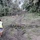 Vanuatu Red Cross personnel looking at ash fall in East Ambae.